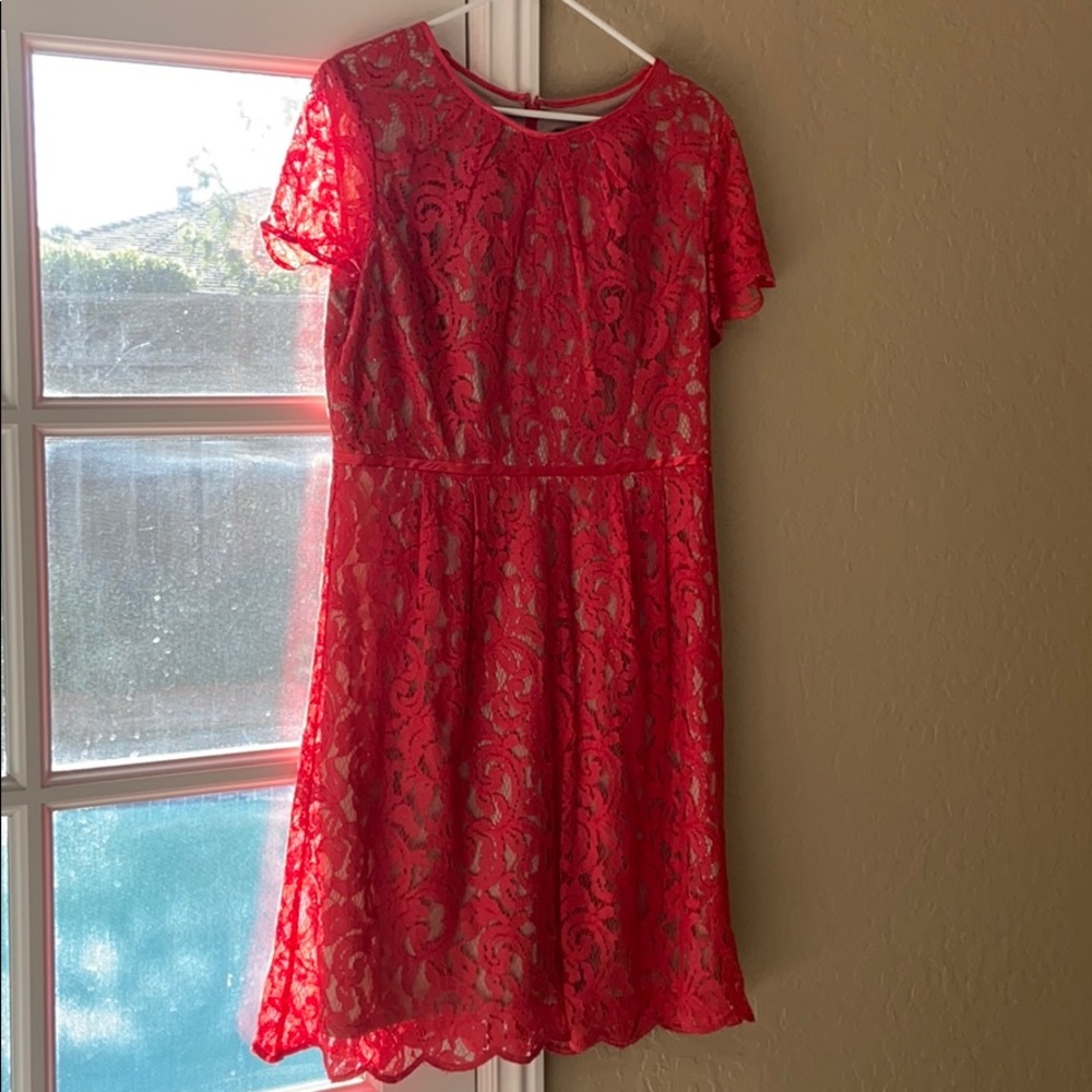 Adrianna Papell Red Lace Dress